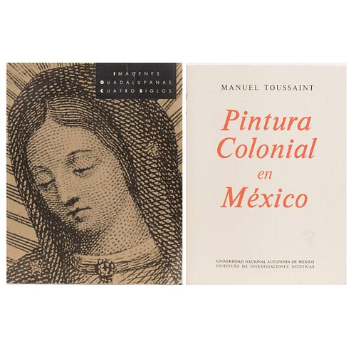 LIBROS SOBRE ARTE VIRREINAL. a)  Imágenes Guadalupanas Cuatro Siglos. b) Pintura Colonial en México. Piezas: 2.