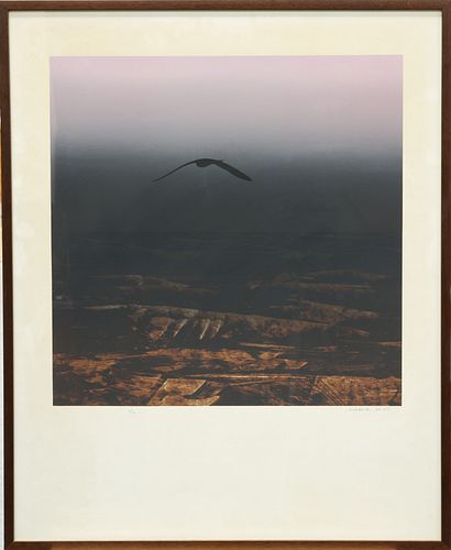 LAWRENCE DAWS (AUSTRALIAN, BORN 1927), OMEN BIRD, artist's 