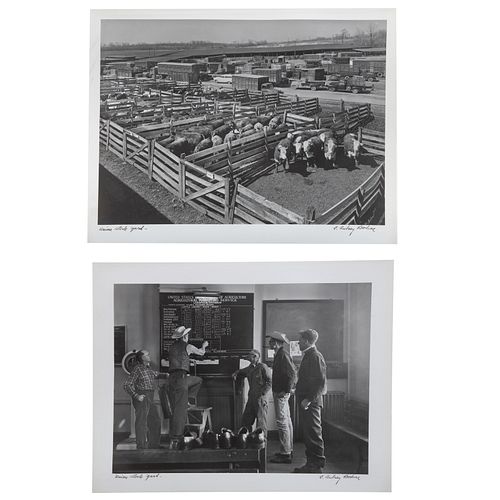 A. Aubrey Bodine. Two Union Stockyard Photos