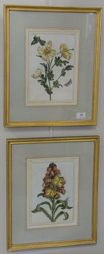 Pair of Pierre Joseph Buchoz (1731 - 1807), botanical hand colored engravings, similar to Mark Catesby or John Abbot, 11 1/4" x 8".