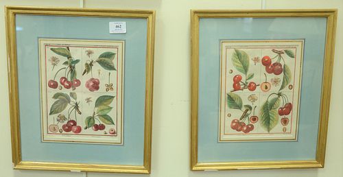 Six Botanical Fruit Engravings, each hand-colored, two by Poiteau and Gabriel; pair by Abrey Le Melon and La Citrouille; along with a pair by Sellier 