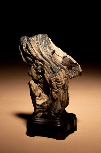 A Small Petrified Wood Scholar's Rock