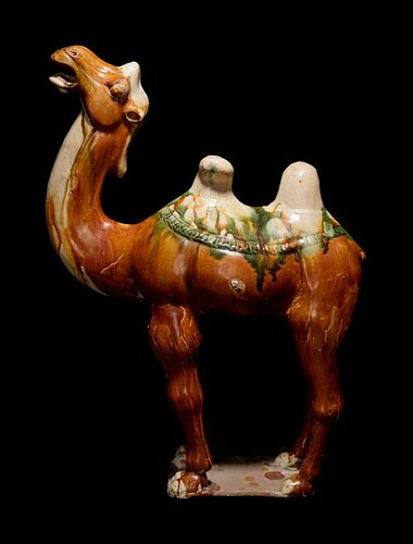 A Sancai Glazed Pottery Figure of a Bactrian Camel
