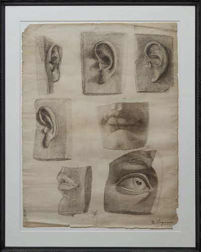 M. Loggino, "Studies of a Face," 19th c., charcoal on paper, signed lower right, presented in an ebonized relief frame, H.- 24 in., W.-19 1/2 in.; fra