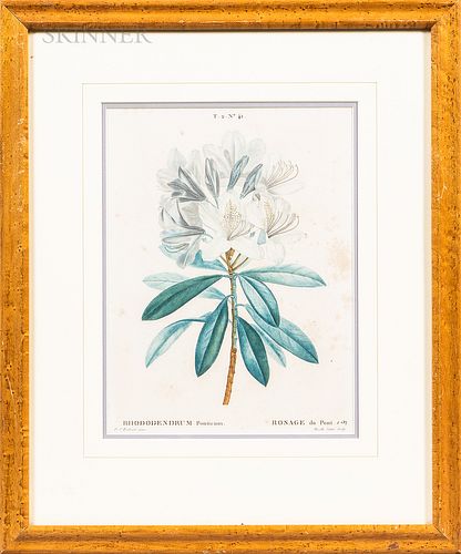 Three Framed 19th Century Botanical Prints