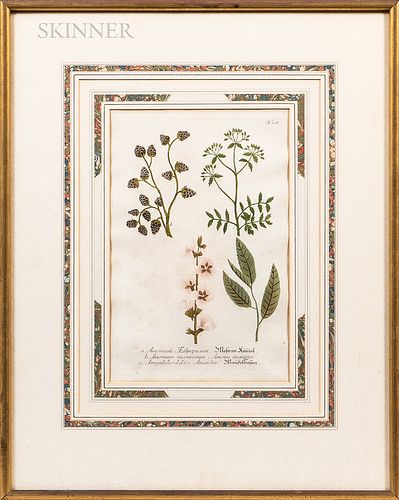 Four Framed Hand-colored Prints