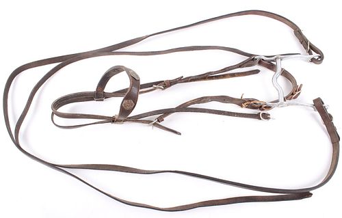Gold & Silver Accented Black Leather Headstall