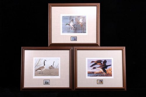 Limited U.S. Water Birds Framed Prints & Stamps