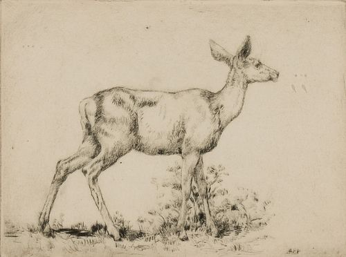 Alexander Phimister Proctor, Untitled (Deer)