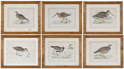 Six Bird Prints