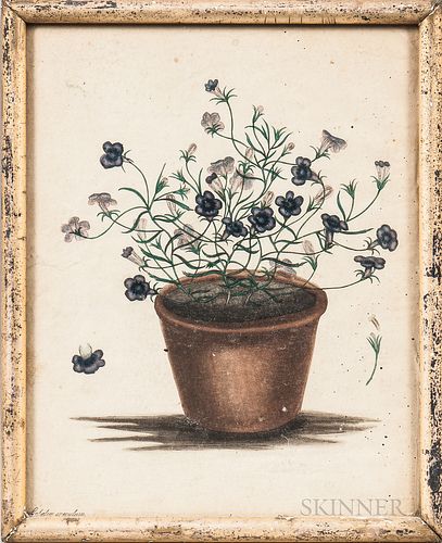 Hand-colored Print of a Pot of Purple and White Flowers
