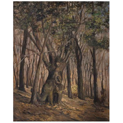 FERNANDO BEST PONTONES, Untitled, Signed, Oil on canvas, 22 x 17.7" (56 x 45 cm)
