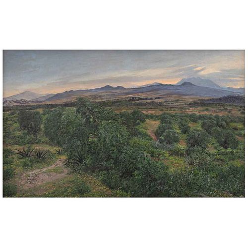NICOLÁS MORENO, El Ajusco y los pirules, Signed and dated 1970, Oil on canvas on plywood, 24.2 x 39.2" (61.5 x 99.7 cm), Certificate