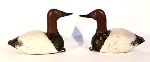 Pair of Canvas Back Decoys
