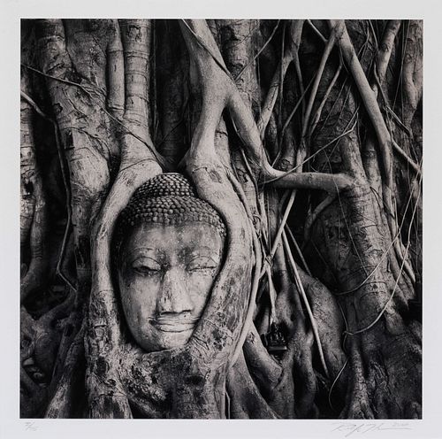 Rolfe Horn
(American, b. 1971)
Buddha in Trees, 2000