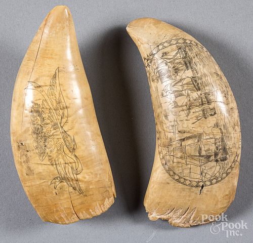 Two scrimshaw whale teeth, 19th c.
