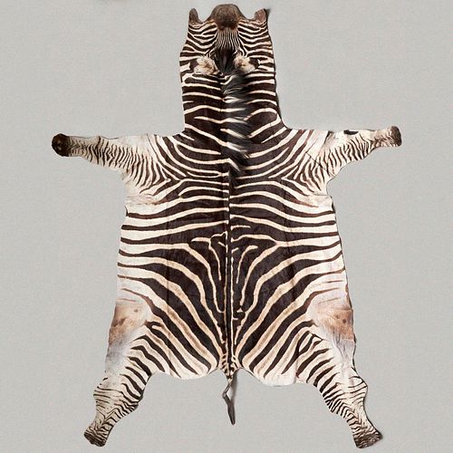 Zebra Skin Rug 9'6" x 4'10"