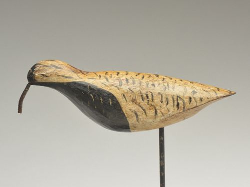 Black bellied plover, Captain Dan Showell, Absecon, New Jersey, last quarter 19th century.
