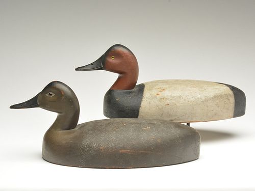 Rigmate pair of canvasbacks, Christie Brothers, Saginaw, Michigan, 1st quarter 20th century.