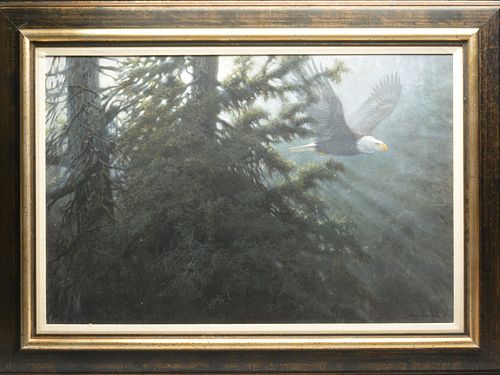 Oil on board of eagle flying through pine forest, John Seerey-Lester.