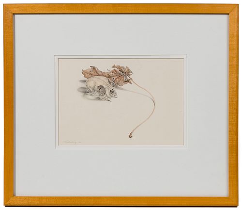John Wickenberg (American, b.1944) 'Skull and Leaf' Graphite and Watercolor on Paper