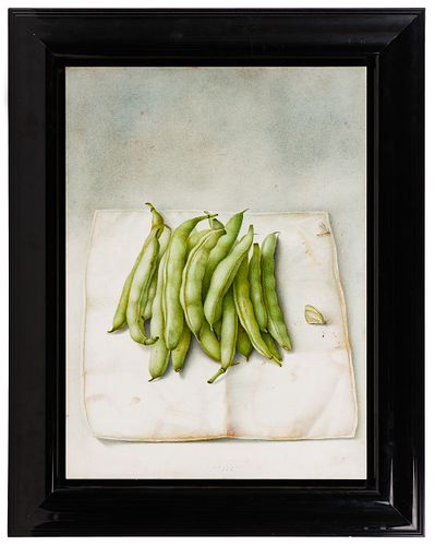 Anneke van Brussel (Dutch, b.1949) 'Green Beans' Oil and Graphite on Paper on Panel
