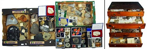 A COLLECTION OF FOSSILS  many professionally prepared and arranged in boxes with labels, the