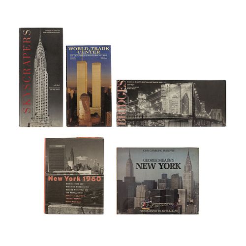 LIBROS SOBRE ARQUITECTURA Y URBANISMO DE NUEVA YORK. a) New York 1960. b) New York. c) Bridges. Piezas: 5.