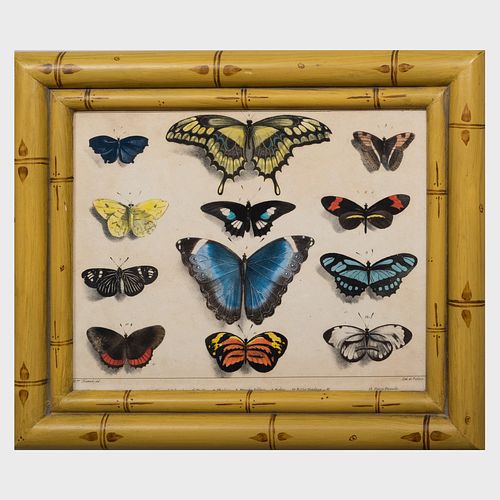 FranÃ§ois le Villain (active 1820-1830): Les Papillons: Ten Plates