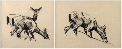 Frank Hoffman, Two Drawings of Deer