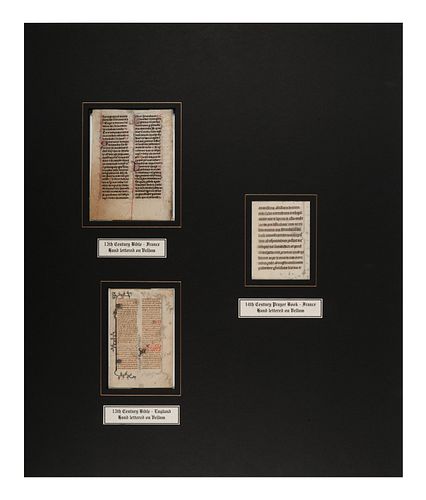 [MANUSCRIPT LEAVES -- BIBLES]. A group of 3 manuscript leaves on vellum, matted together, comprising: