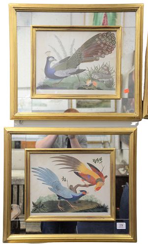 Six Piece Group of Bird Digital Prints, after Carlo Antonio Raineri, in matching frames, each image 10 3/4" x 14".
