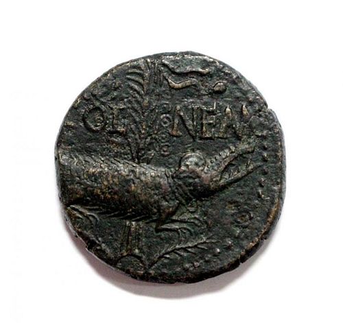 Augustus with Agrippa (10-14AD) back to back with chained crocodile and palm tree, VF or better, 12.