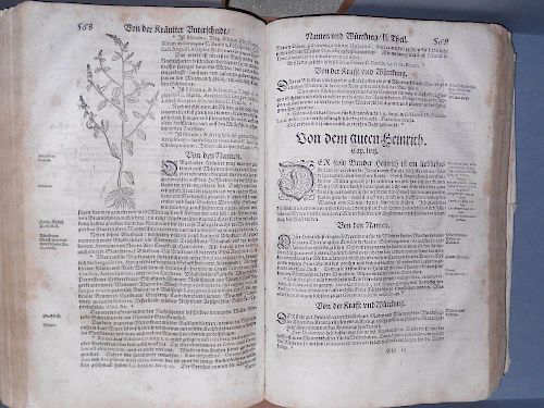 BOCK (Hieronymus) Krautterbuch..., Mit vleiß übersehen, und mit der kräutter zunamen... gemehret und
