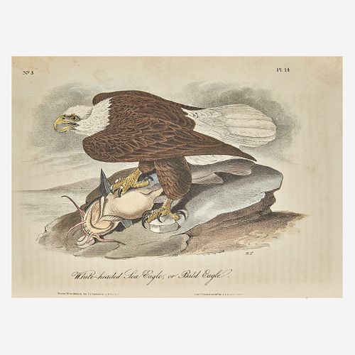[Prints] Audubon, John James The Birds of America...