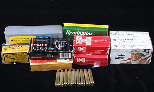 Collection of assorted Ammunition and Brass