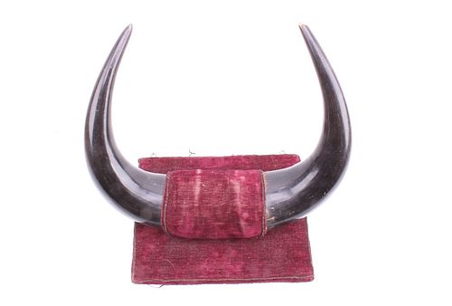 Trophy Buffalo Horn Coat Rack c.1890's