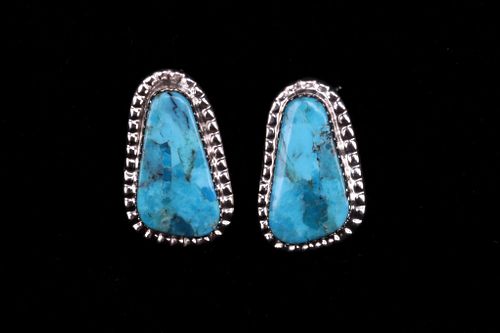 Signed Navajo Sterling & Sleeping Beauty Earrings