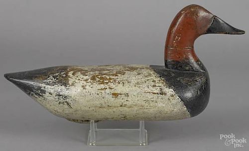 Carved and painted canvasback duck decoy, early