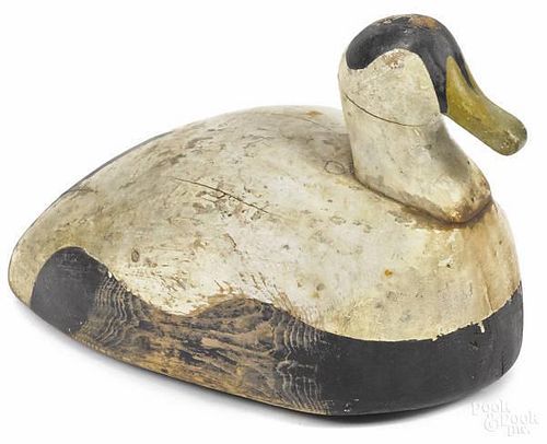 Maine carved and painted eider decoy, ca. 1900,