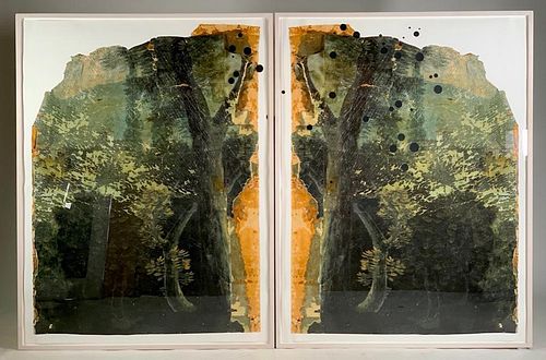 Valerie Hammond Diptych, "Southern Cross (A Constellation in the Southern Hemisphere)" 
