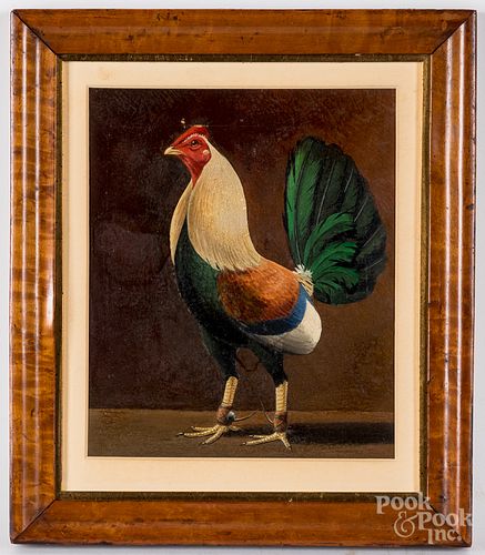 Oil on board of a gamecock, ca. 1900