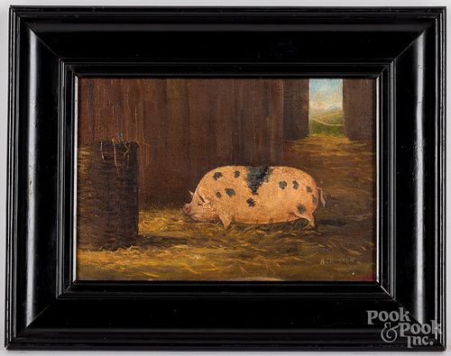 Oil on board prize pig, signed A Trotter