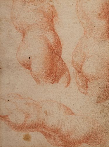 VIVIEN LEIGH. 
Italian school of the 17th century. 
"Study of Nudes". 
Sanguine on paper.