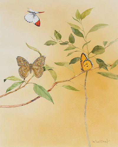 Skip Whitcomb (B. 1946) "Butterflies" Watercolor