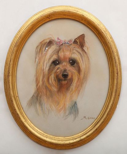 MABEL GEAR (1900-1997): PORTRAIT OF A YORKSHIRE TERRIER