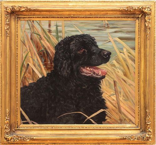 PERCY GRAVELY: PORTRAIT OF A WATER DOG