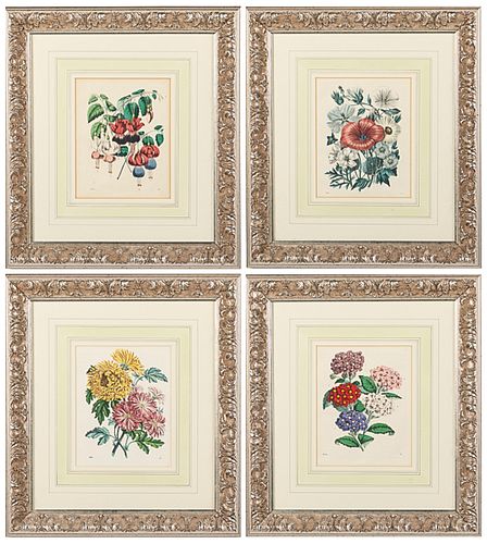 4 Hand-Colored Botanical Prints