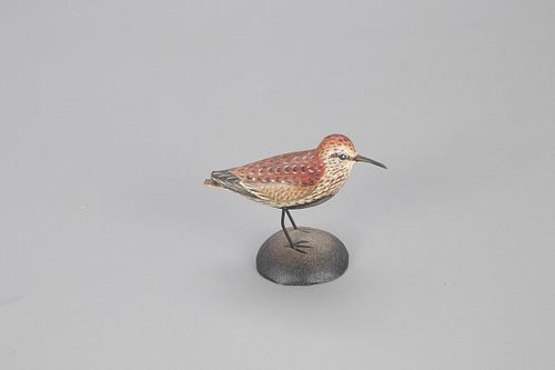 Miniature Dunlin, A. Elmer Crowell (1862-1952)