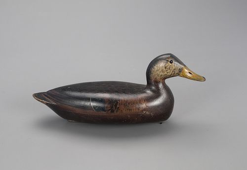 The "Masterworks" Cashwell-Rig Black Duck Decoy, G. Bert Graves (1880-1956)